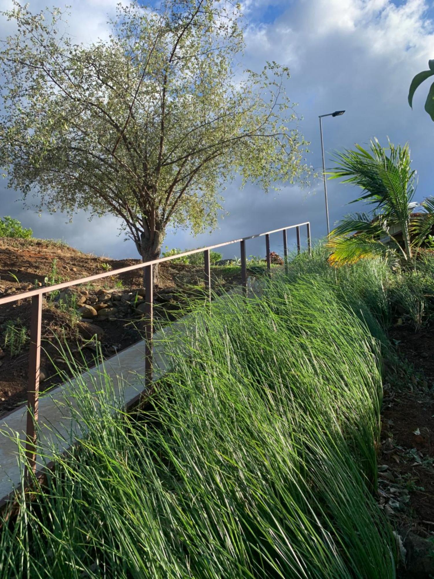 Conectar Con La Naturaleza Esparza Exterior photo